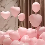Premium Heart Latex Balloon 20 pcs +$18.00